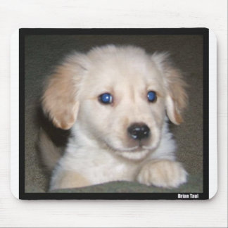 Pupy eyes mouse mat