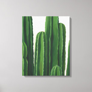 Pura Vida - Cacti Group Canvas Print
