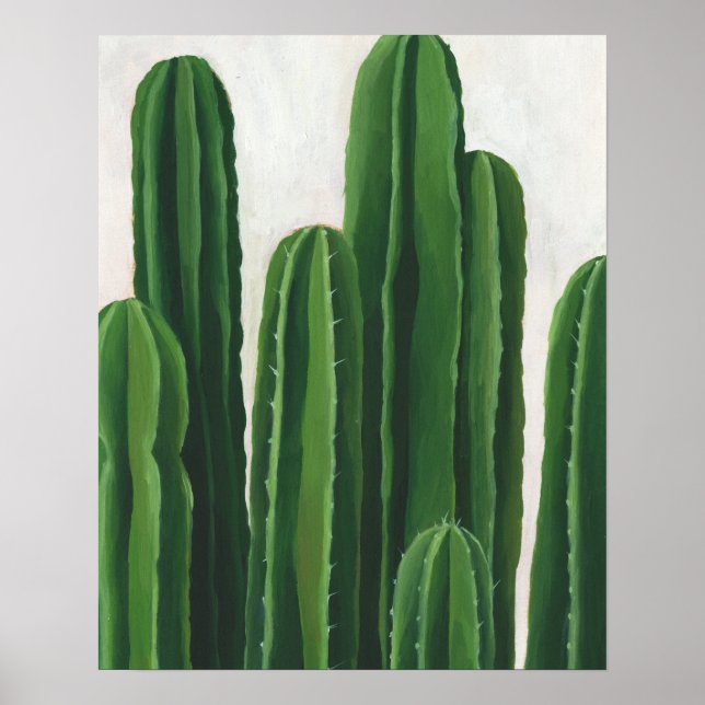 Pura Vida - Cacti Group Poster (Front)