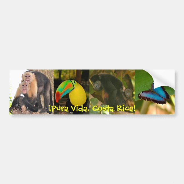 Pura Vida Costa Rica bumper sticker (Front)