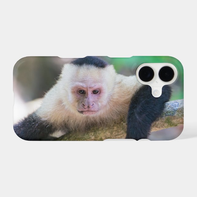 Pura vida for White-faced capuchin monkey (Back (Horizontal))