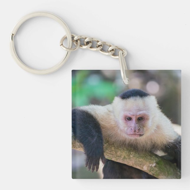 Pura vida for White-faced capuchin monkey Key Ring (Front)