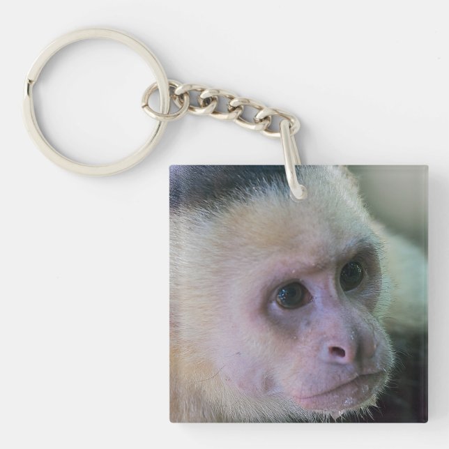 Pura vida for White-faced capuchin monkey Key Ring (Front)