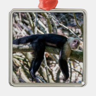 Pura vida for White-faced capuchin monkey Metal Tree Decoration