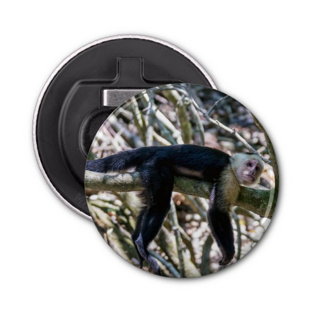 Pura vida for White headed capuchin monkey Bottle Opener (Front)