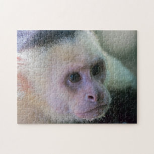 Pura vida for White headed capuchin monkey Jigsaw Puzzle