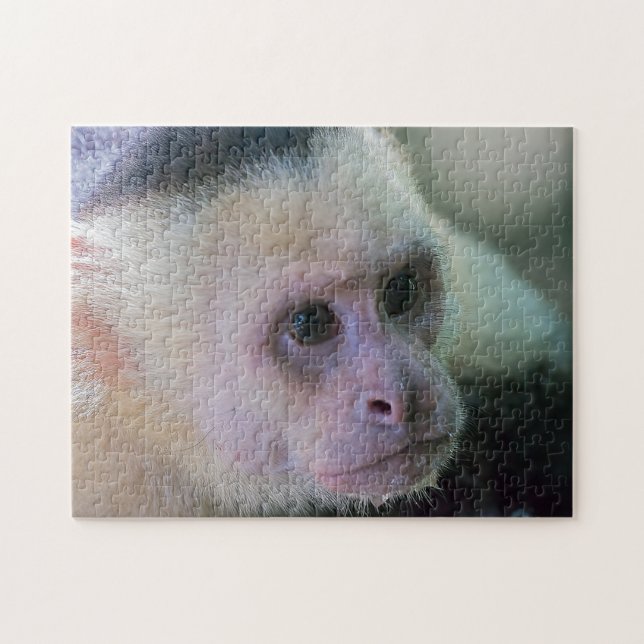 Pura vida for White headed capuchin monkey Jigsaw Puzzle (Horizontal)