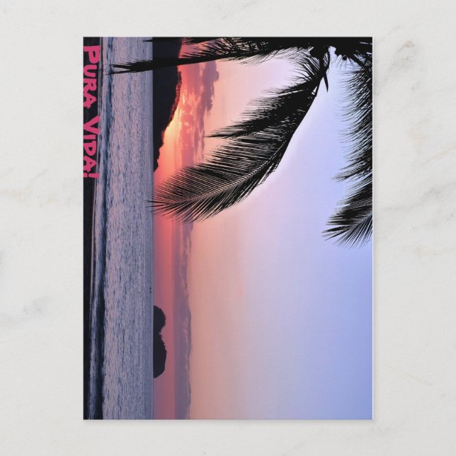 Pura Vida! Postcard (Front)