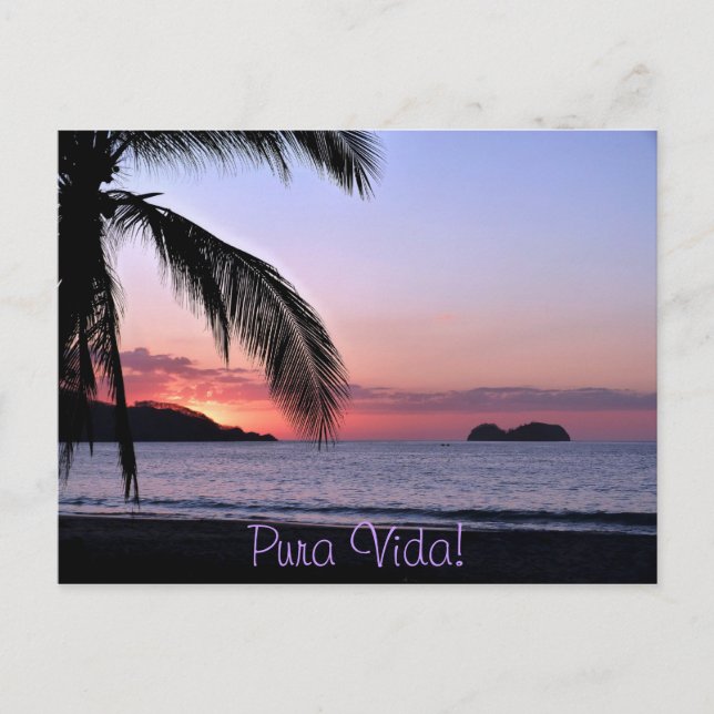 Pura Vida! Postcard (Front)