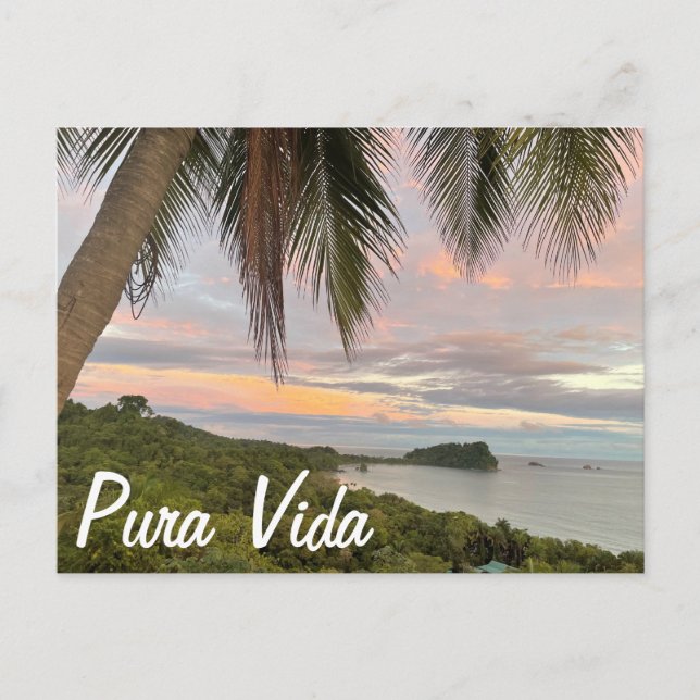 Pura Vida Postcard (Front)