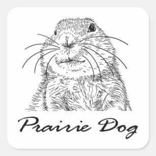 purairie dog face 3 square sticker
