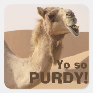 Purdy Camel Square Sticker