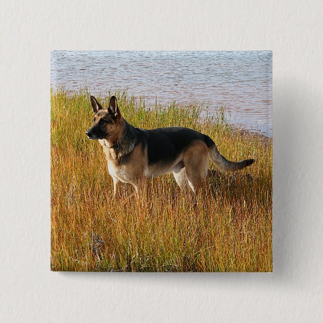 Pure Bred German Shepherd Photo on Button (Front)