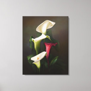 "Pure Calla" Canvas Print