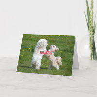 PURE JOY LOVE CARD