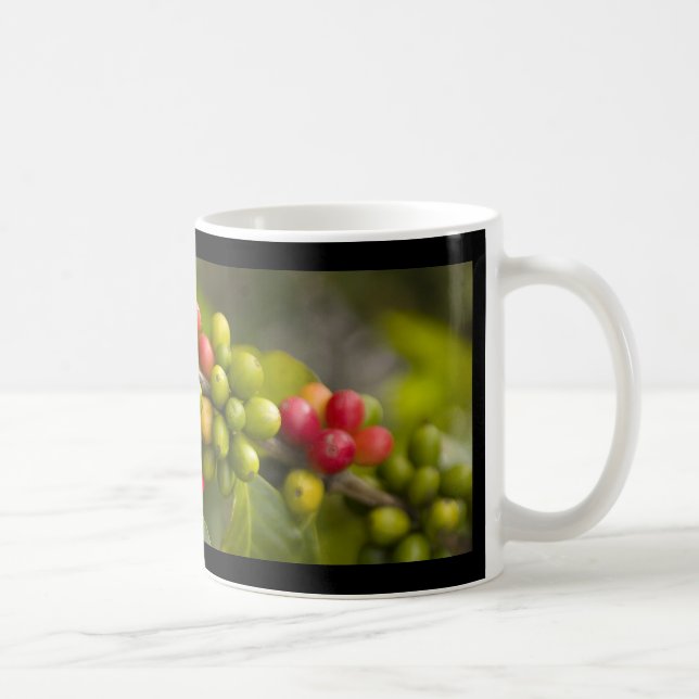 PURE KONA COFFEE MUG (Right)