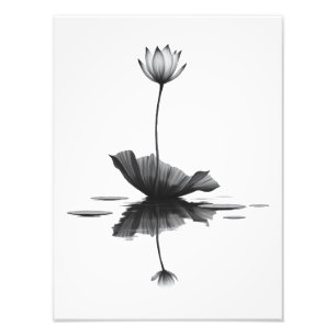 Pure Lotus Beauty Photo Print