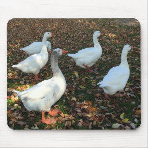 Pure Nature Mouse Mat