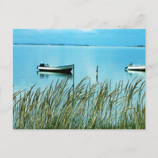 Pure Nature on Samsø island Photo Colette Postcard
