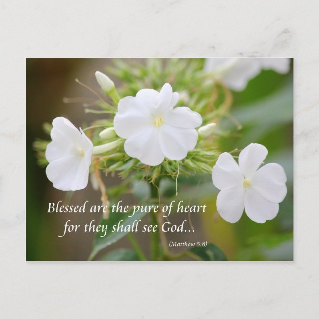 Pure of heart postcard (Front)