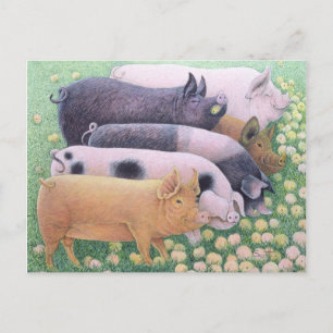 Pure Pleasure Postcard