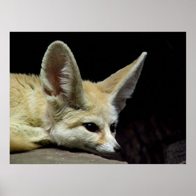 Pure Quiet Poster (Front)