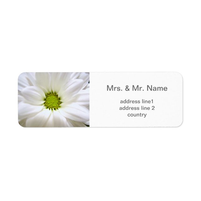 pure white daisy flower wedding (Front)