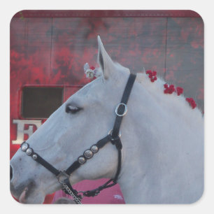 pure white horse with black bridle and red flowers square sticker
