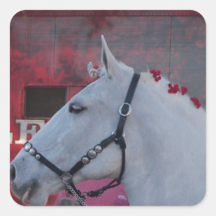 pure white horse with black bridle and red flowers square sticker