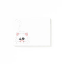 Pure White Kitty Cat Playing