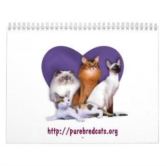 Purebred Cat Breed Rescue Calendar