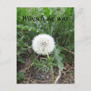 purebred postcard