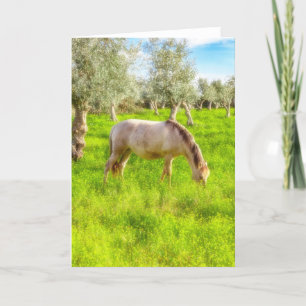 Purebred pregnant mare from the Alter Real bred Thank You Card