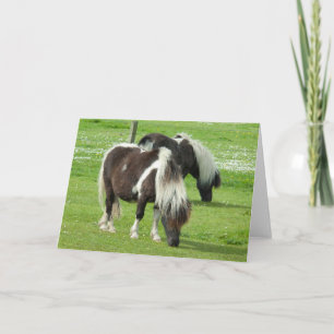 Purebred Shetland Paint Ponies Card