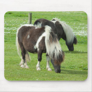Purebred Shetland Paint Ponies Mouse Mat