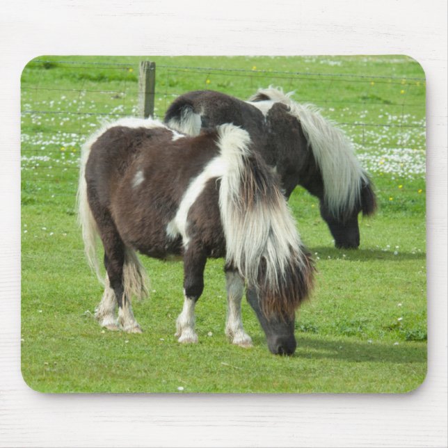 Purebred Shetland Paint Ponies Mouse Mat (Front)