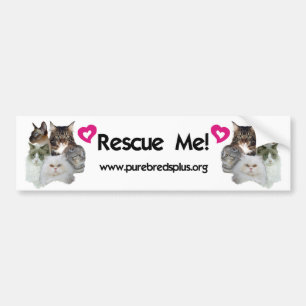 Purebreds Plus Rescue Me Bumper Sticker