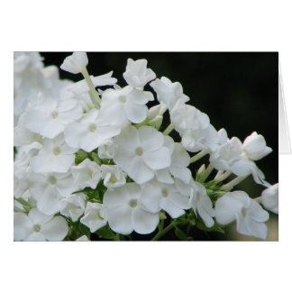 purity
