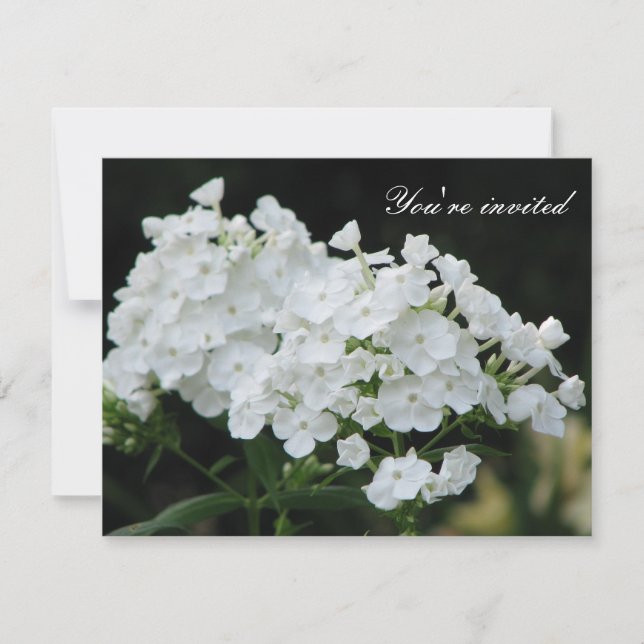Purity Invitation (Front)