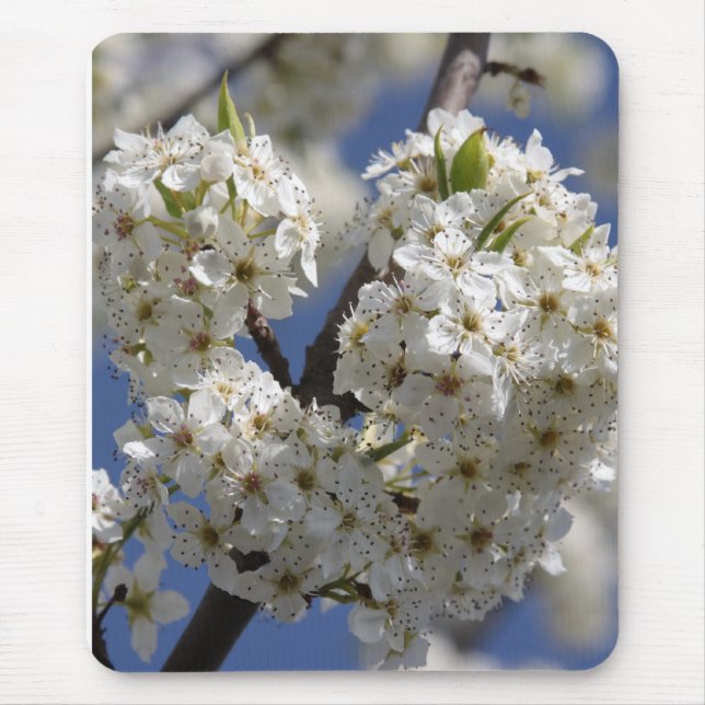 Purity Mouse Mat (Front)