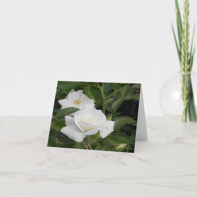 Purity & Peace... Card (Front)