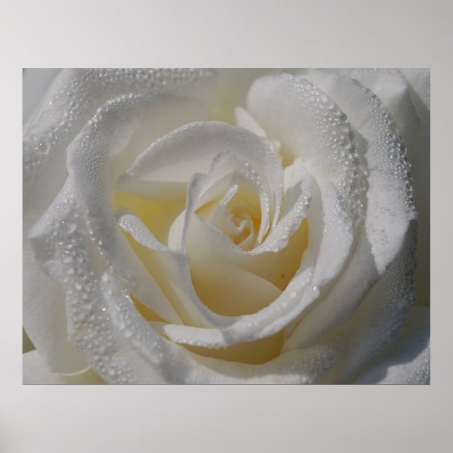 'Purity' Poster (Front)