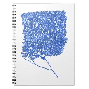 Purkinje Cell Notebook