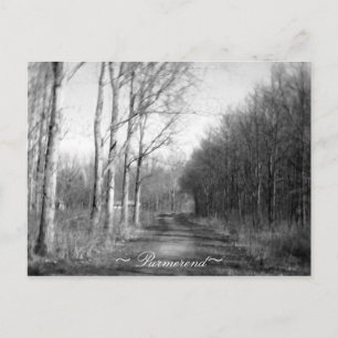 Purmerend Netherlands Postcard