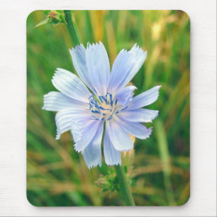 Purple 2 mouse mat