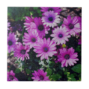 Purple African Daisies Floral Art Tile