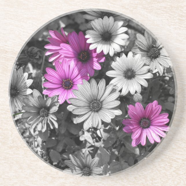Purple African Daisies Floral Coaster (Front)