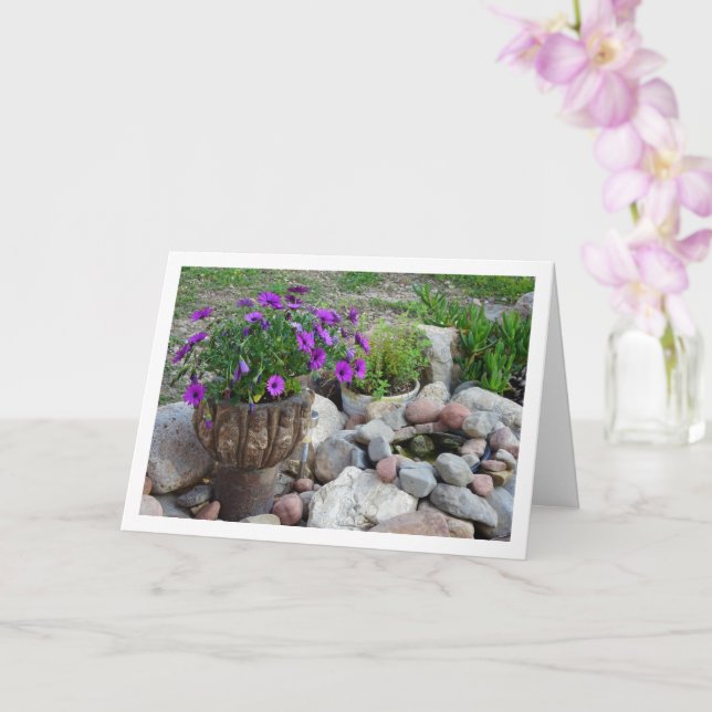 Purple African Daisies Portrait Card (Orchid)