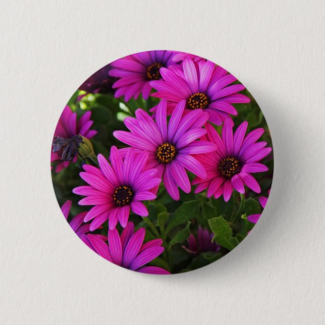 Purple African Daisy 6 Cm Round Badge (Front)