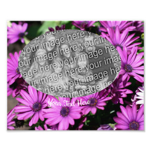 Purple African Daisy Flowers Frame Template Photo Print
